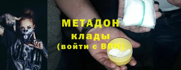 стаф Алзамай