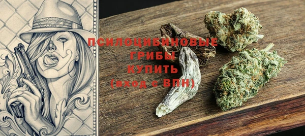 стаф Алзамай