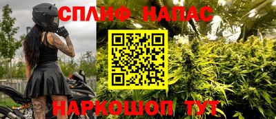 jwh Кингисепп