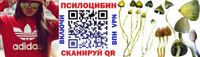 Галлюциногенные грибы мухоморы  продажа наркотиков  Тайшет 