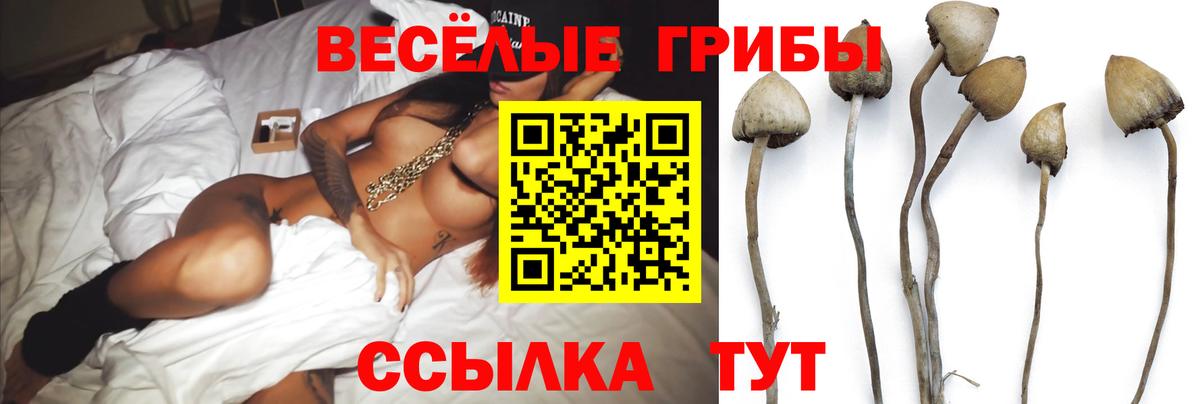 Псилоцибиновые грибы Magic Shrooms  Вход с VPN  где купить   Тайшет 