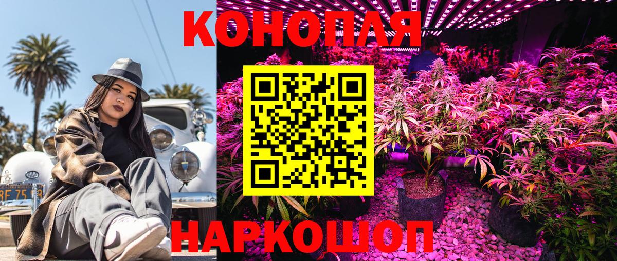 Бошки Шишки Ganja Тайшет